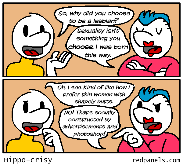 sexuality and choice comic
