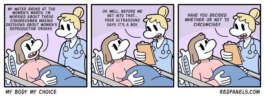 A comic about feminists not caring about the bodily autonomy of men and circumcision.